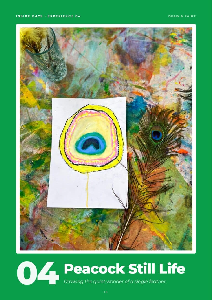 Opener page for Peacock Still Life, an oil pastel drawing of a peacock feather