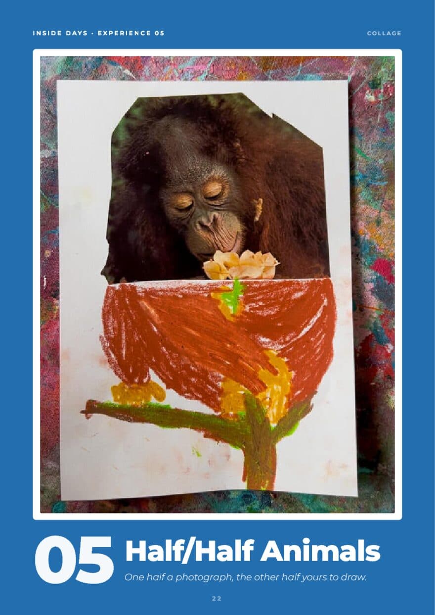 Opener page for Half Half Animals, half a printed animal photo with the other half drawn