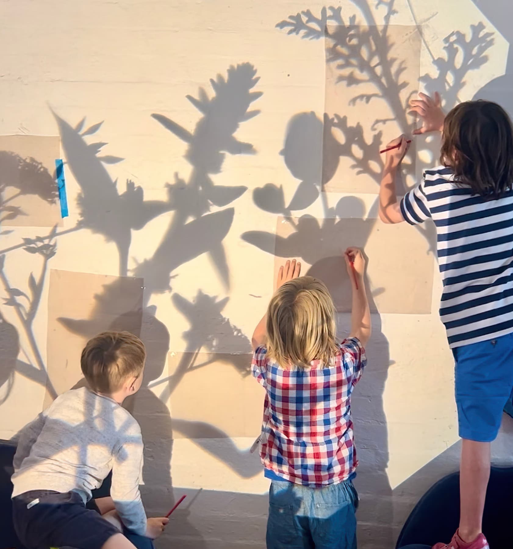 Kids tracing plant shadows on wall
