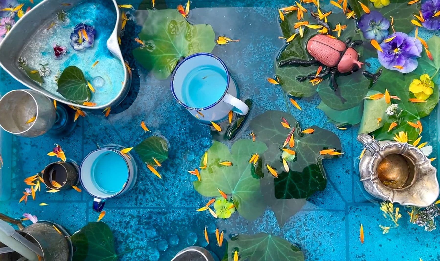 The Watering Hole